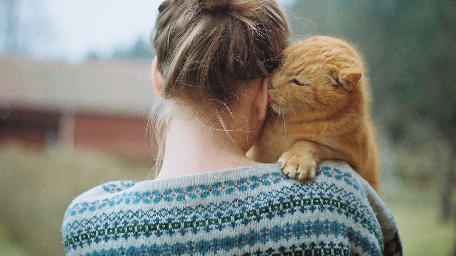 Сильно люблю кошек. Девушка кошка. Рыжий кот в обнимку. Девушка с котиком. Девушка с рыжим котом.