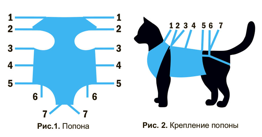 Как завязать попону кошке после стерилизации