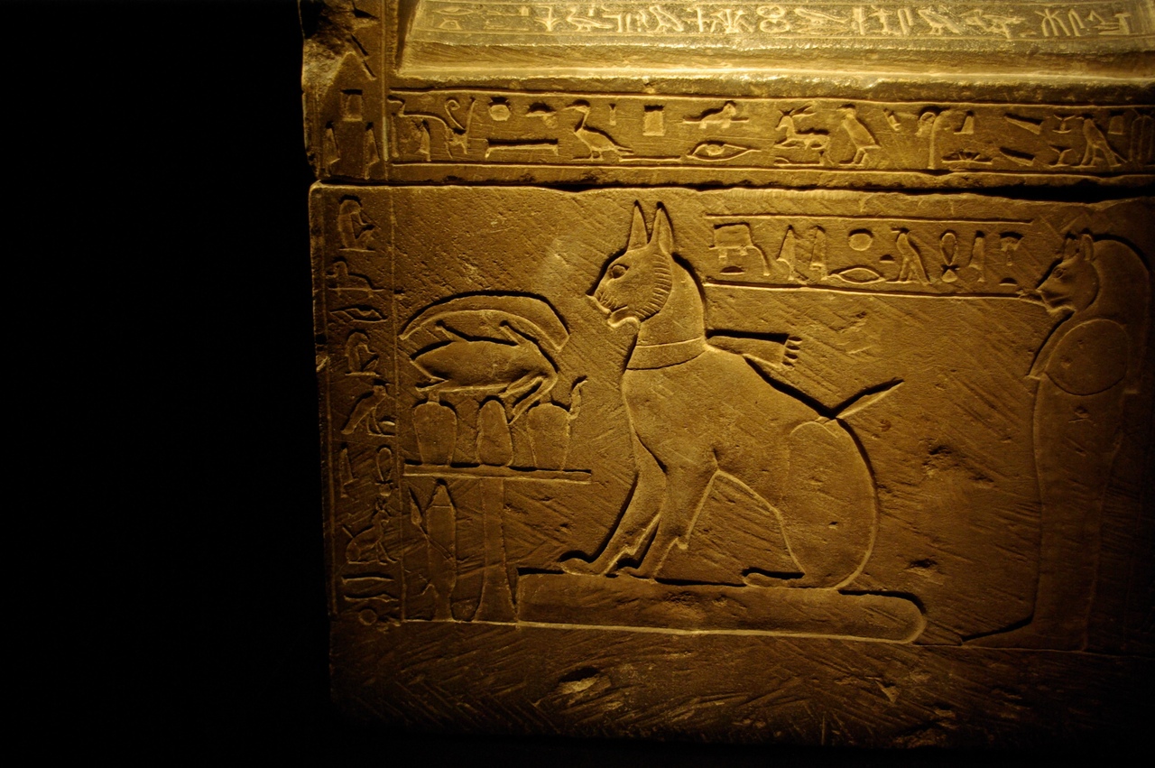 Древнее изображение первых египетских кошек